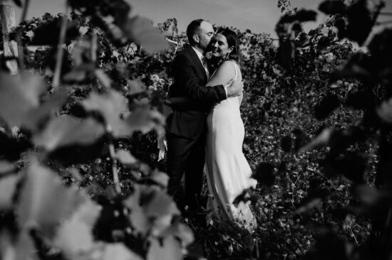 A couple dressed in wedding attire stands closely together, smiling and embracing in the middle of a vineyard at their Shelburne Vineyard Wedding, surrounded by leafy vines. The image is in black and white.