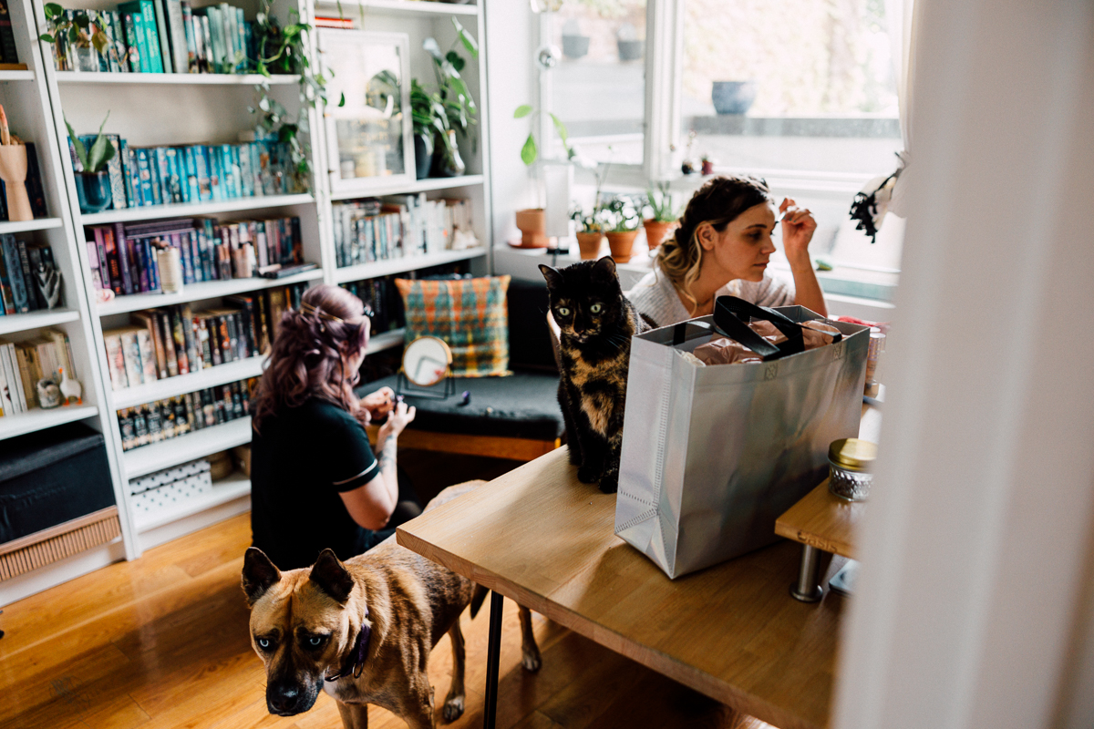 A lively indoor setting showcasing two women engaged in activities, accompanied by a dog and a cat on a table, surrounded by bookshelves and houseplants.