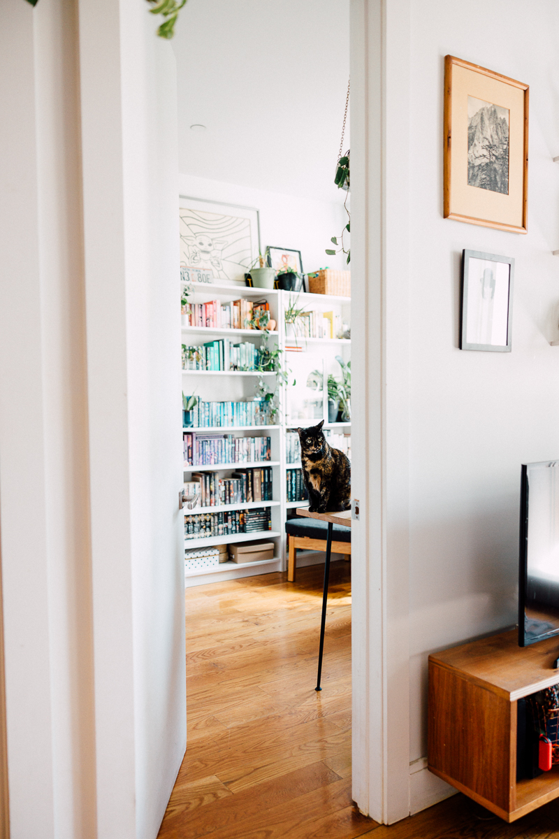 A view of a stylish room featuring a bookshelf filled with colorful books, a cat sitting on a stool, and various plants adding to the inviting atmosphere.
