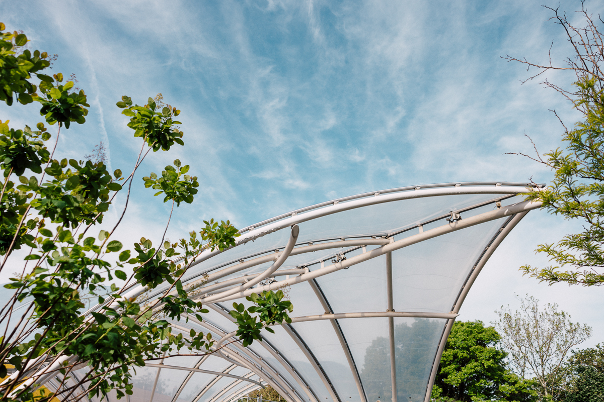 A close-up view of a sleek, transparent structure framed by lush green foliage against a bright blue sky.