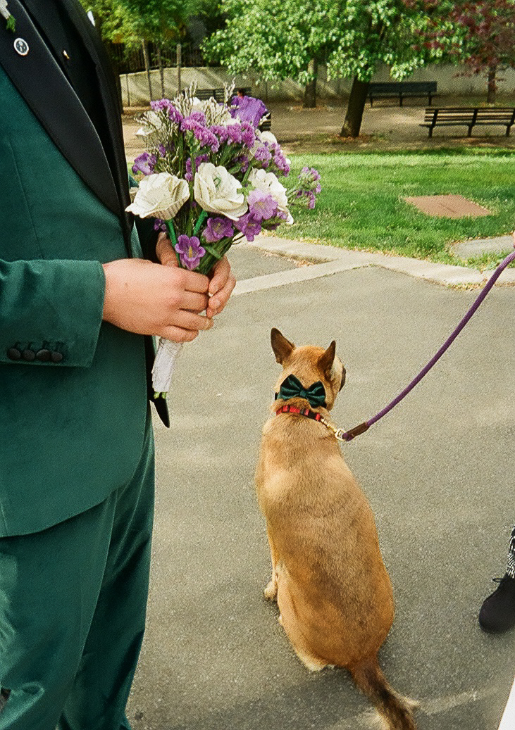 A person in a green suit holds a bouquet of flowers while a dog wearing a bowtie sits nearby on a leash.