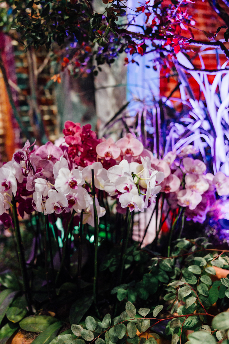 Colorful orchids in shades of white, pink, and purple bloom among green leaves at New England Botanic Garden Tower Hill, with vibrant lighting and lush foliage creating a stunning decorative display.