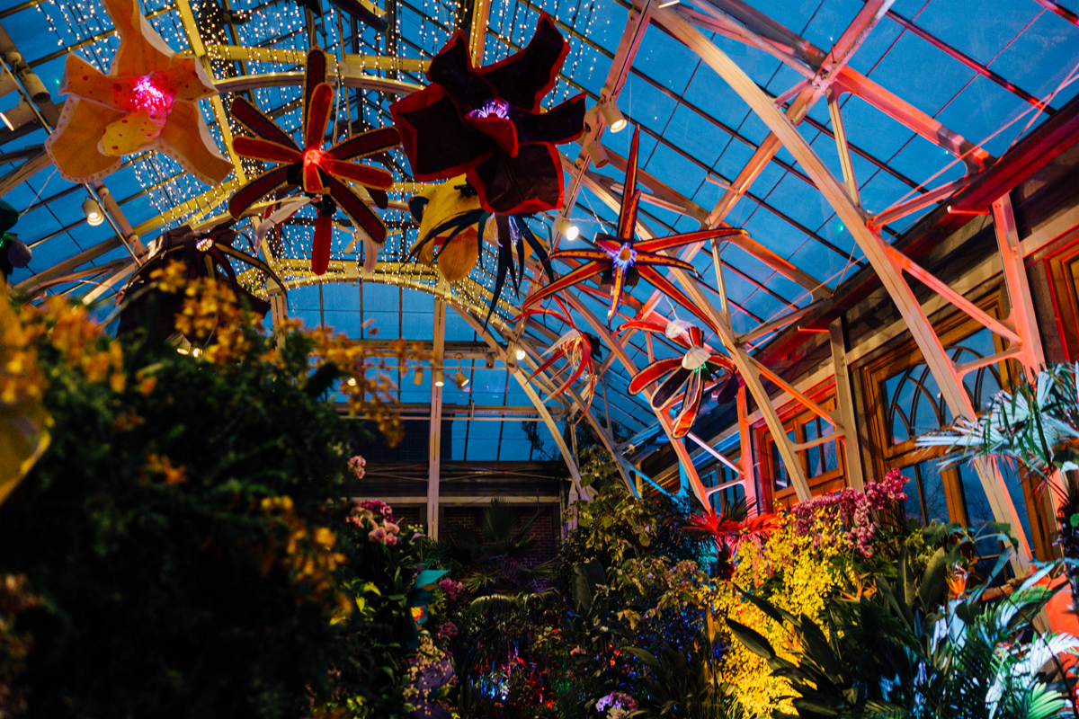 A glass-roofed conservatory is lit with colorful lights, featuring large, vibrant artificial flowers hanging from the ceiling and lush green plants below, creating a whimsical and enchanting atmosphere.