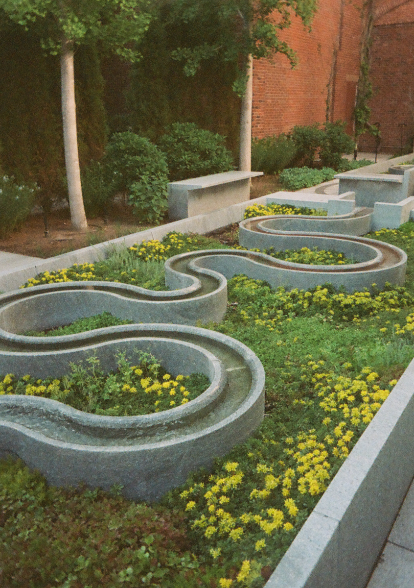 Curved concrete planters with bright yellow flowers and greenery sit in a garden area next to a red brick wall and trees, creating a charming setting ideal for a Peabody Essex Museum Wedding. Benches are placed along the path for seating.