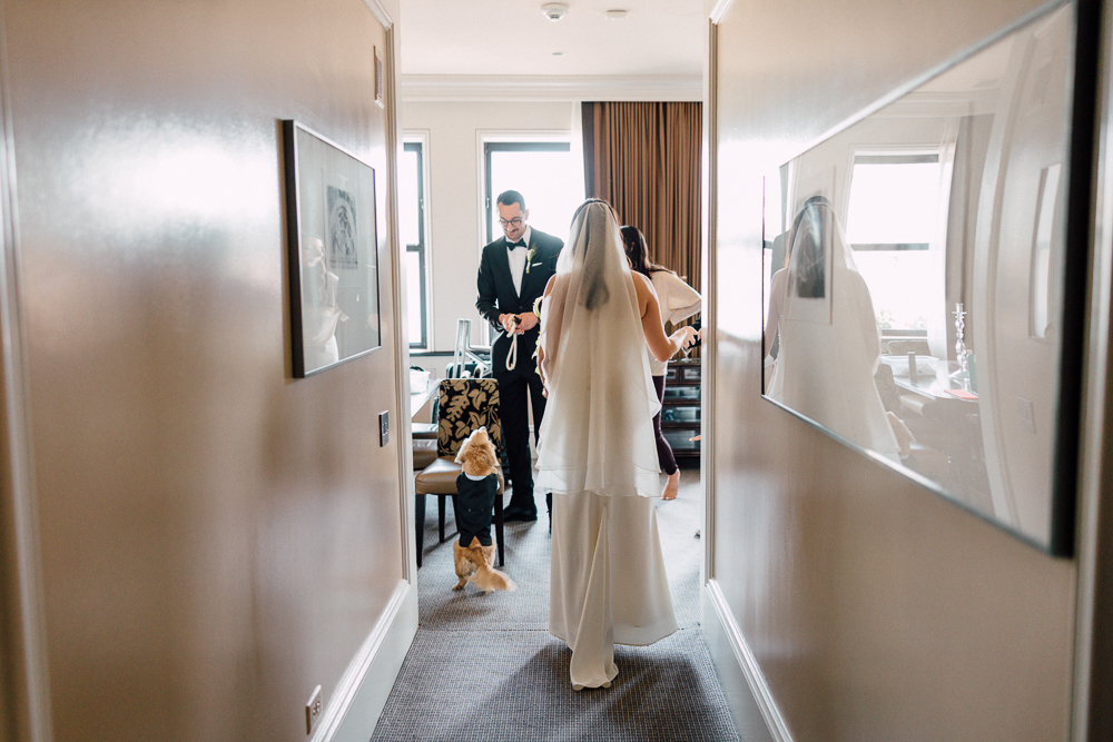 A bride in a white dress and veil walks down a hallway toward a groom in a suit, with two small dogs standing nearby in a sunlit room.
