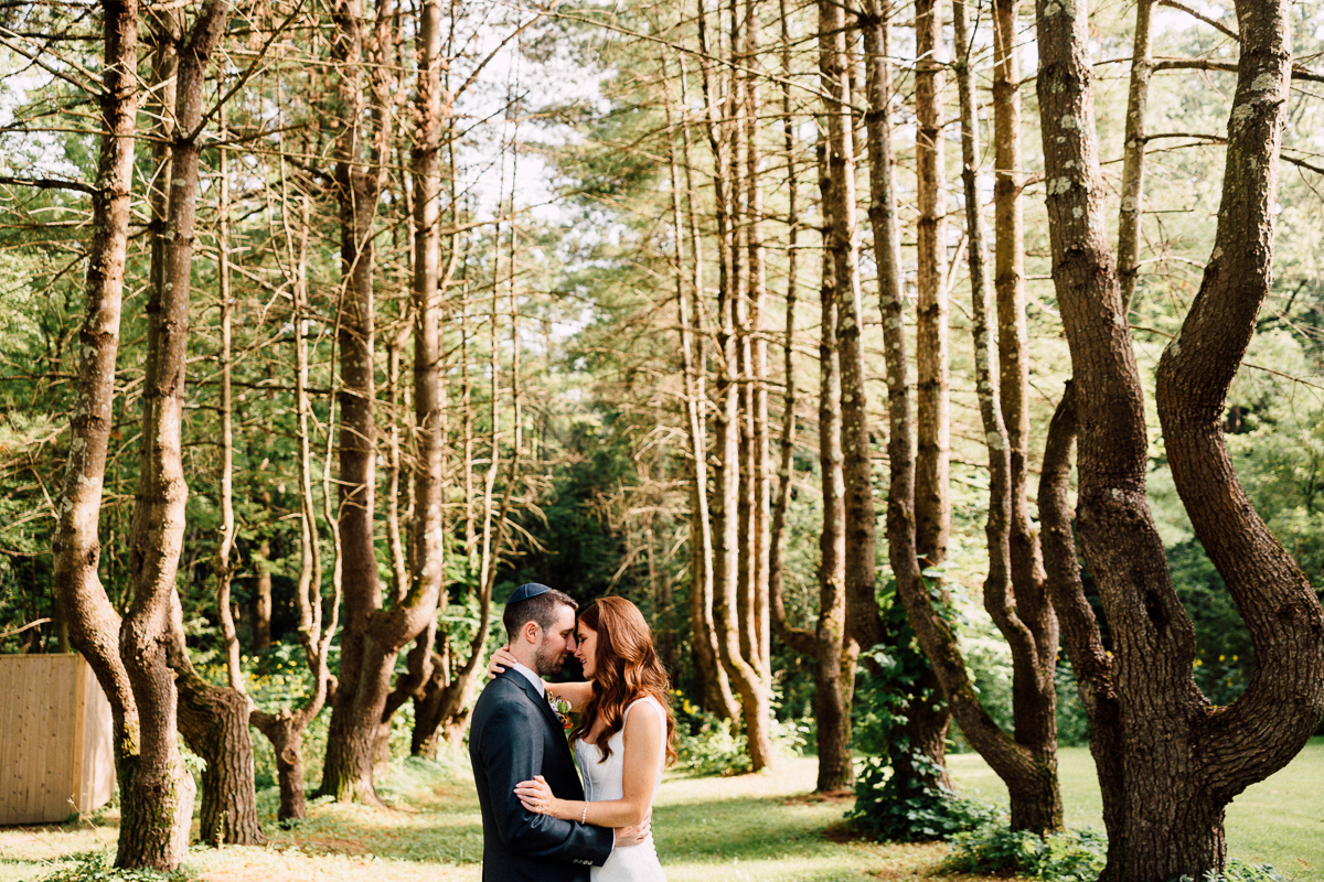 A bride and groom embrace and kiss in a sunlit forest near Lenox MA, surrounded by tall, evenly spaced trees—a peaceful, romantic moment reminiscent of a Seven Hills Inn wedding with dappled sunlight filtering through the branches.